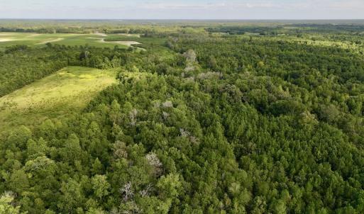 Photo #4 of SOLD property in Off Boss Mclawhorn Rd, Grifton, NC 25.2 acres
