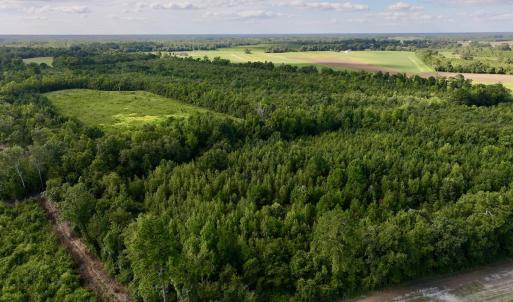 Photo #5 of SOLD property in Off Boss Mclawhorn Rd, Grifton, NC 25.2 acres