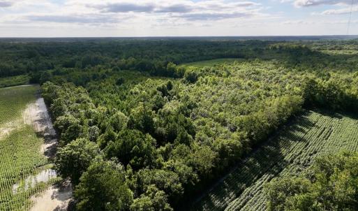 Photo #6 of SOLD property in Off Boss Mclawhorn Rd, Grifton, NC 25.2 acres