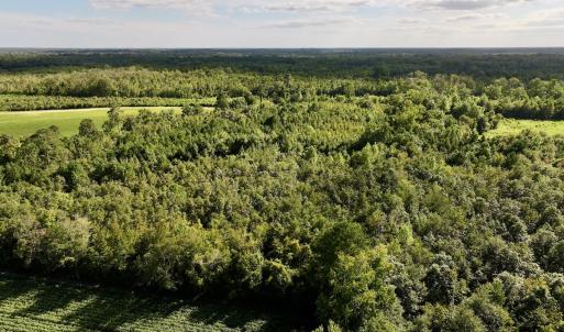 Photo #7 of SOLD property in Off Boss Mclawhorn Rd, Grifton, NC 25.2 acres