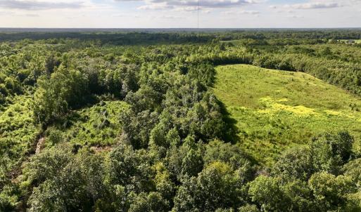 Photo #8 of SOLD property in Off Boss Mclawhorn Rd, Grifton, NC 25.2 acres