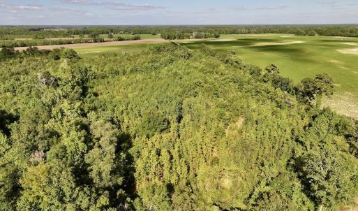 Photo #9 of SOLD property in Off Boss Mclawhorn Rd, Grifton, NC 25.2 acres