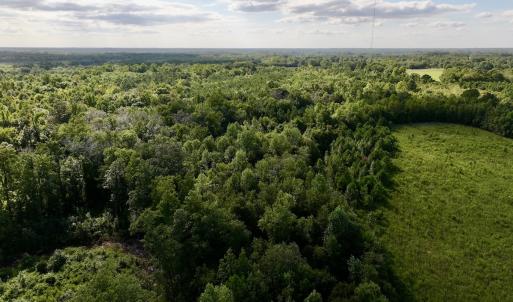 Photo #10 of SOLD property in Off Boss Mclawhorn Rd, Grifton, NC 25.2 acres