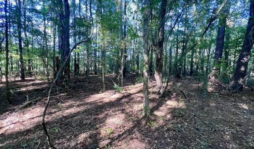 Photo #11 of SOLD property in 2995 Nelson Rd, Grifton, NC 8.0 acres
