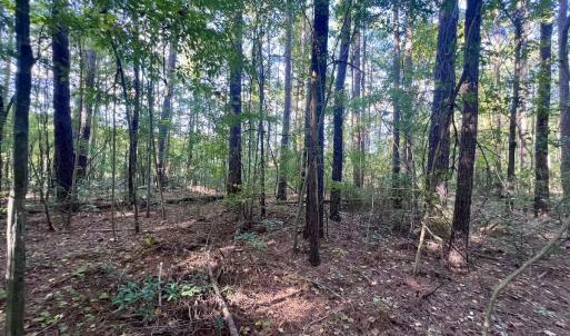 Photo #12 of SOLD property in 2995 Nelson Rd, Grifton, NC 8.0 acres