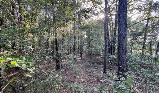 Photo #17 of SOLD property in 2995 Nelson Rd, Grifton, NC 8.0 acres