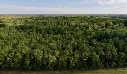 Photo #7 of SOLD property in 2995 Nelson Rd, Grifton, NC 8.0 acres