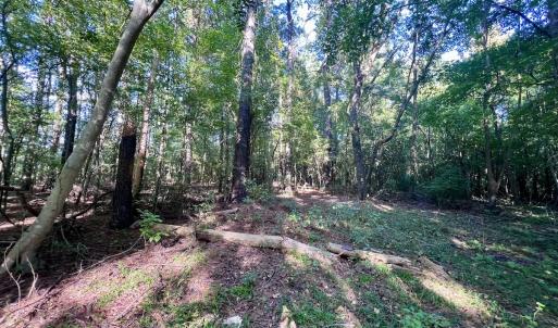 Photo #8 of SOLD property in 2995 Nelson Rd, Grifton, NC 8.0 acres