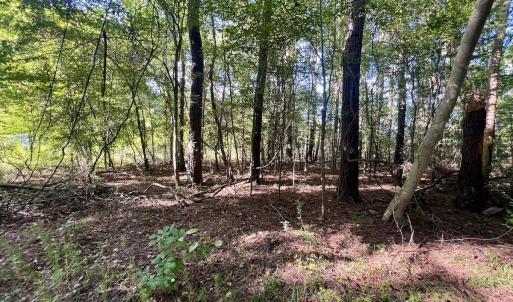 Photo #9 of SOLD property in 2995 Nelson Rd, Grifton, NC 8.0 acres
