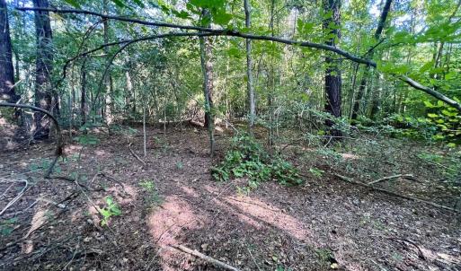 Photo #10 of SOLD property in 2995 Nelson Rd, Grifton, NC 8.0 acres