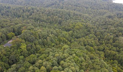 Photo #28 of SOLD property in 1566 Trenthill Dr, Bassett, VA 25.7 acres
