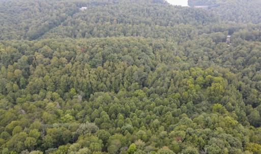 Photo #30 of SOLD property in 1566 Trenthill Dr, Bassett, VA 25.7 acres