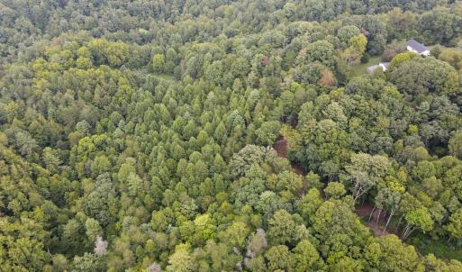 Photo #31 of SOLD property in 1566 Trenthill Dr, Bassett, VA 25.7 acres
