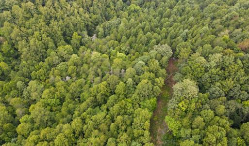 Photo #32 of SOLD property in 1566 Trenthill Dr, Bassett, VA 25.7 acres