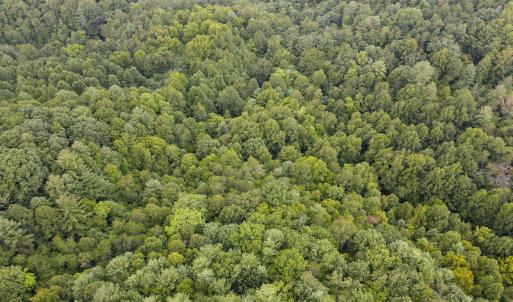 Photo #33 of SOLD property in 1566 Trenthill Dr, Bassett, VA 25.7 acres