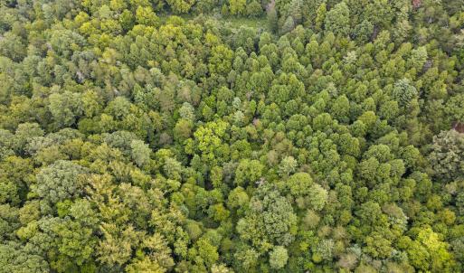 Photo #34 of SOLD property in 1566 Trenthill Dr, Bassett, VA 25.7 acres