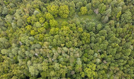 Photo #35 of SOLD property in 1566 Trenthill Dr, Bassett, VA 25.7 acres