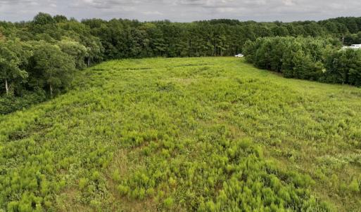 Photo #17 of SOLD property in Off Michele Road, Scotland Neck, NC 8.0 acres