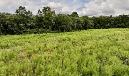 Photo #18 of SOLD property in Off Michele Road, Scotland Neck, NC 8.0 acres