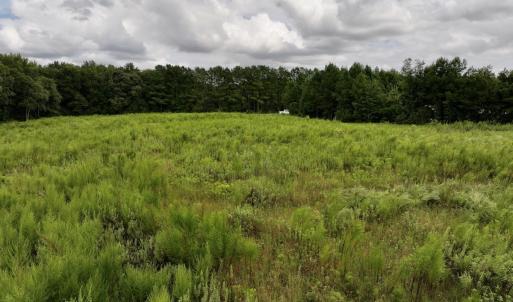 Photo #19 of SOLD property in Off Michele Road, Scotland Neck, NC 8.0 acres