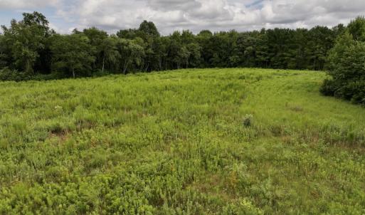 Photo #21 of SOLD property in Off Michele Road, Scotland Neck, NC 8.0 acres
