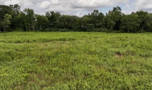 Photo #22 of SOLD property in Off Michele Road, Scotland Neck, NC 8.0 acres