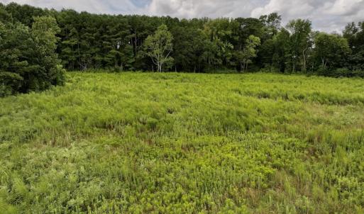 Photo #23 of SOLD property in Off Michele Road, Scotland Neck, NC 8.0 acres