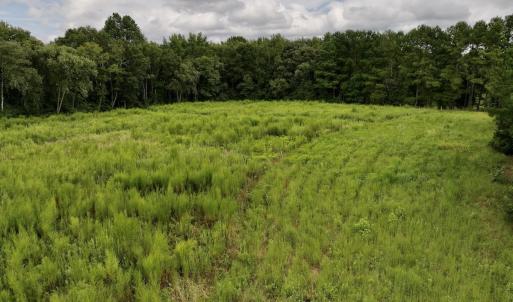 Photo #24 of SOLD property in Off Michele Road, Scotland Neck, NC 8.0 acres