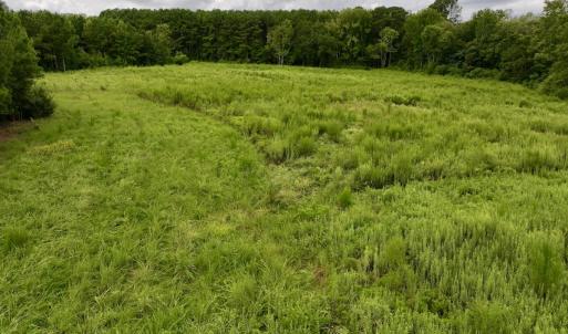 Photo #25 of SOLD property in Off Michele Road, Scotland Neck, NC 8.0 acres