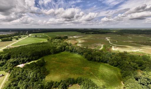 Photo #4 of SOLD property in Off Michele Road, Scotland Neck, NC 8.0 acres
