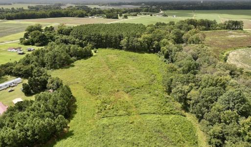 Photo #7 of SOLD property in Off Michele Road, Scotland Neck, NC 8.0 acres