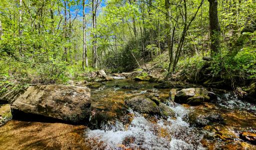 Photo #1 of Off Fire Trail Ln, Stuart, VA 585.0 acres