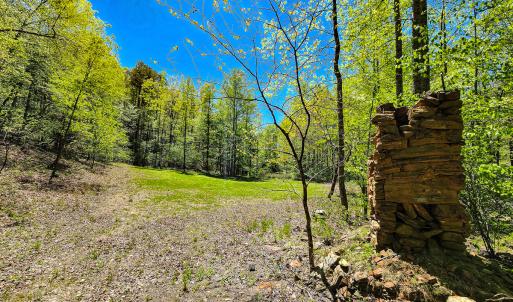 Photo #17 of Off Fire Trail Ln, Stuart, VA 585.0 acres