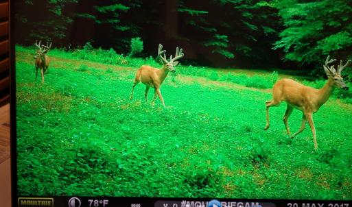 Photo #20 of Off Fire Trail Ln, Stuart, VA 585.0 acres