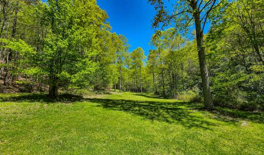 Photo #21 of Off Fire Trail Ln, Stuart, VA 585.0 acres
