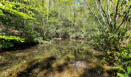 Photo #24 of Off Fire Trail Ln, Stuart, VA 585.0 acres