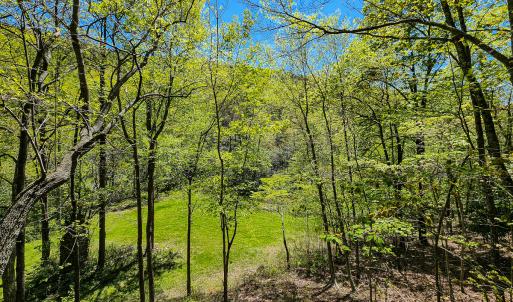 Photo #25 of Off Fire Trail Ln, Stuart, VA 585.0 acres