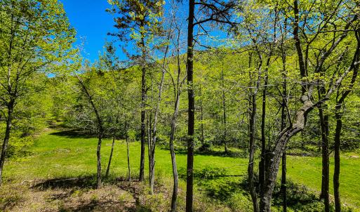 Photo #26 of Off Fire Trail Ln, Stuart, VA 585.0 acres