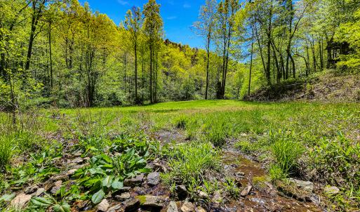 Photo #27 of Off Fire Trail Ln, Stuart, VA 585.0 acres