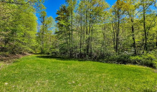 Photo #30 of Off Fire Trail Ln, Stuart, VA 585.0 acres