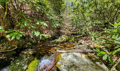 Photo #34 of Off Fire Trail Ln, Stuart, VA 585.0 acres