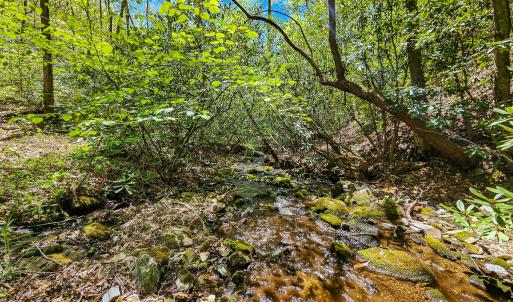 Photo #36 of Off Fire Trail Ln, Stuart, VA 585.0 acres