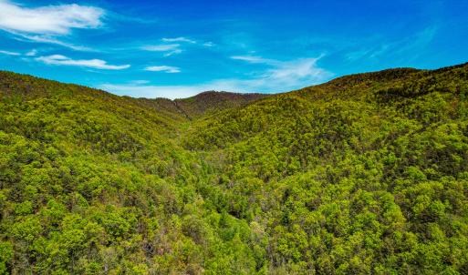 Photo #42 of Off Fire Trail Ln, Stuart, VA 585.0 acres