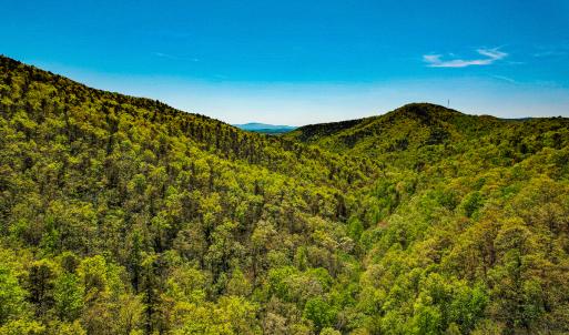 Photo #43 of Off Fire Trail Ln, Stuart, VA 585.0 acres