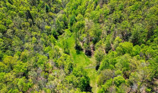 Photo #45 of Off Fire Trail Ln, Stuart, VA 585.0 acres