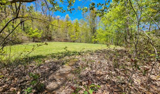 Photo #53 of Off Fire Trail Ln, Stuart, VA 585.0 acres