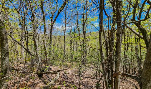 Photo #54 of Off Fire Trail Ln, Stuart, VA 585.0 acres