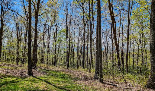 Photo #58 of Off Fire Trail Ln, Stuart, VA 585.0 acres