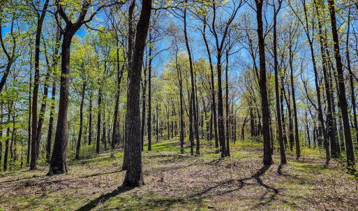 Photo #61 of Off Fire Trail Ln, Stuart, VA 585.0 acres