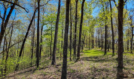 Photo #62 of Off Fire Trail Ln, Stuart, VA 585.0 acres